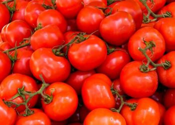 8 Different Ways to Use Tomatoes in Your Meals