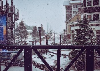 Exploring the Advantages and Disadvantages of Steel-Framed Buildings