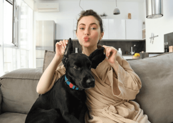 Pet CBD and Human CBD