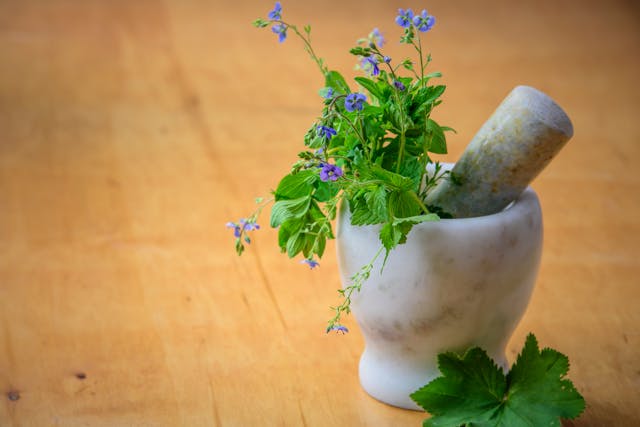 Understanding Wellhealth Ayurvedic health tips