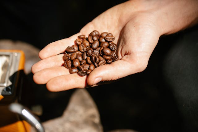Organic Coffee