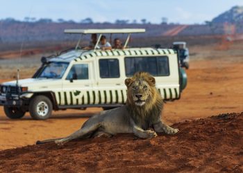 Kenya Safari Vacation