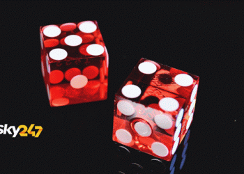 Comprehensive Review of the Sky247 Mobile App for Indian Punters