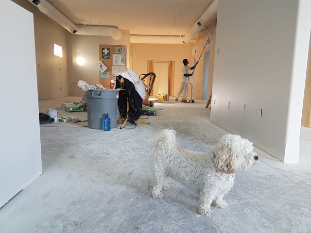 renovating your house