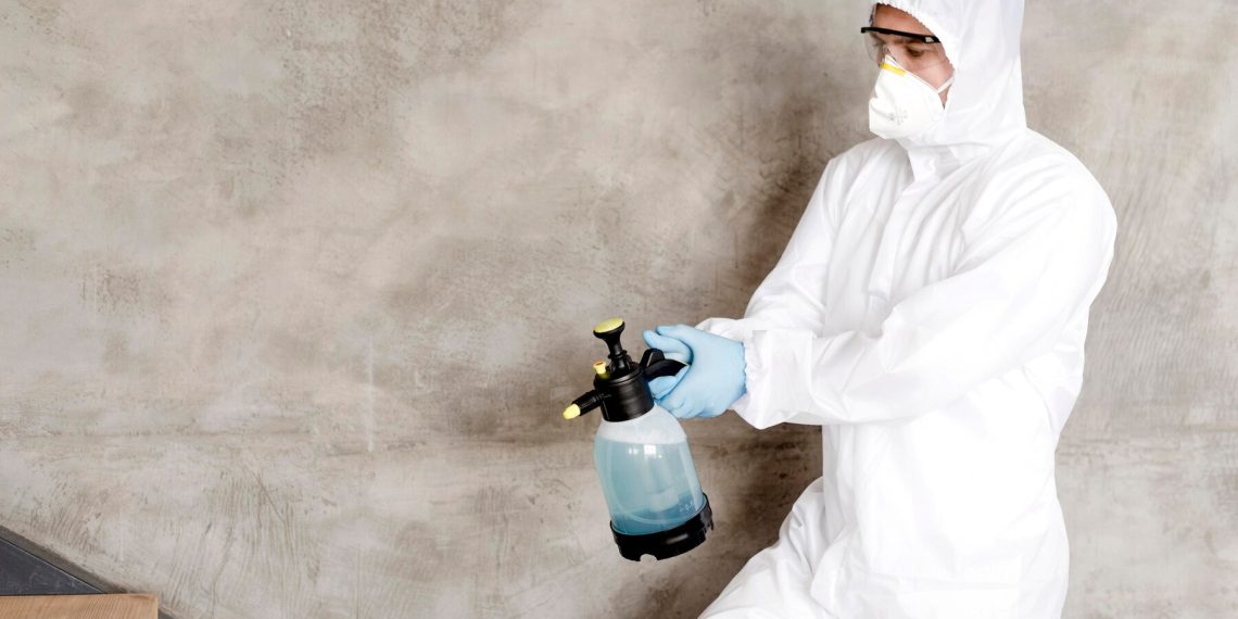 Mold Removal at Home