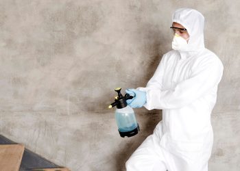 Mold Removal at Home