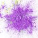 Purple Acrylic Powder