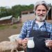 How to Identify Authentic Farm Fresh Milk and Avoid Imitations