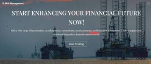 BIW Management website