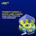 Turnkey Casino vs. White Label Casino