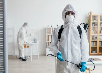 Seasons of Infestation: How Pests Adapt to Spring, Summer, Fall, and Winter