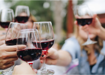 Enhance Your Wine Experience with a Top Wine Bottle Chiller