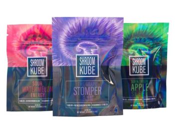 Explore the Different Types of Kratom Strains