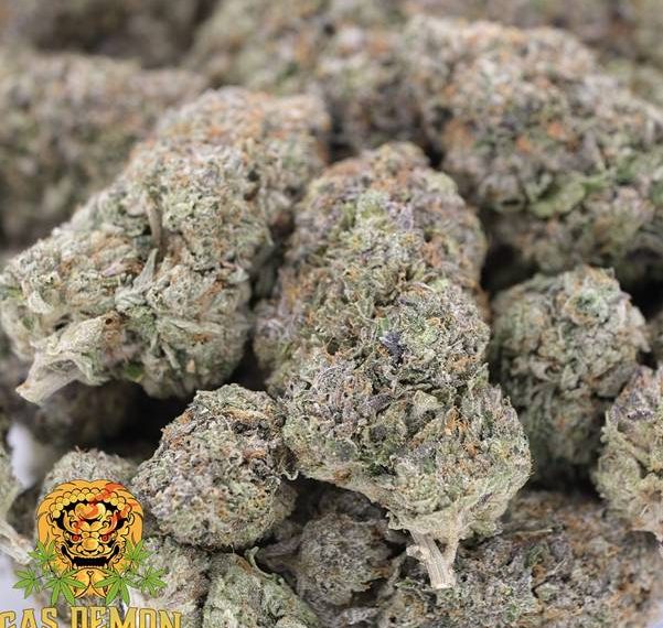 How to Choose Quality Bulk Cannabis in Canada: Tips and Tricks