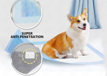 Bulk Dog Pads: Why They’re a Must-Have for Pet Owners