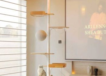 Tall Cat Trees for Active Climbers – The Perfect Choice for Energetic Cats