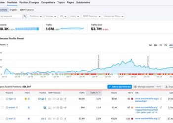 Best Website Keyword Analysis Tool: Features, Pricing & Reviews