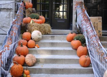 Halloween Decorations