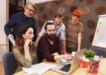 WordPress Developers