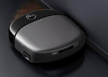 How Can You Keep Your House Fresh With Dogs?