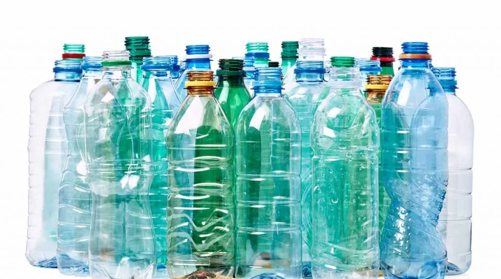 The Explosive Pet Niches Dominating 2026