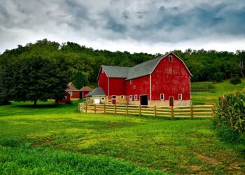 Is Rent-to-Own a Smart Way to Buy a Shed