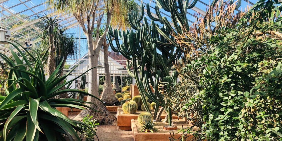 Cultivating Thriving Gardens on Vancouver Island