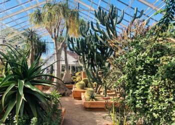 Cultivating Thriving Gardens on Vancouver Island