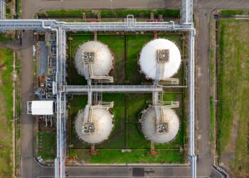 Lurking Beneath Your Yard