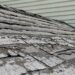 Common Roofing Problems That Can Lead to Bigger Structural Damage