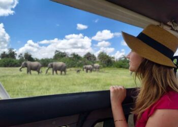 Why Do Most Tourists Go For A Safari In Tanzania?