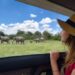 Why Do Most Tourists Go For A Safari In Tanzania?