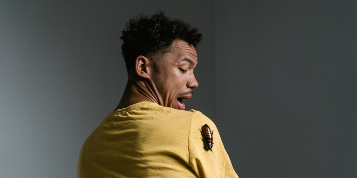 How to Safely and Effectively Prevent Common Pests at Home