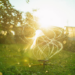 How Smart Irrigation Systems Keep Gardens Healthy Year-Round