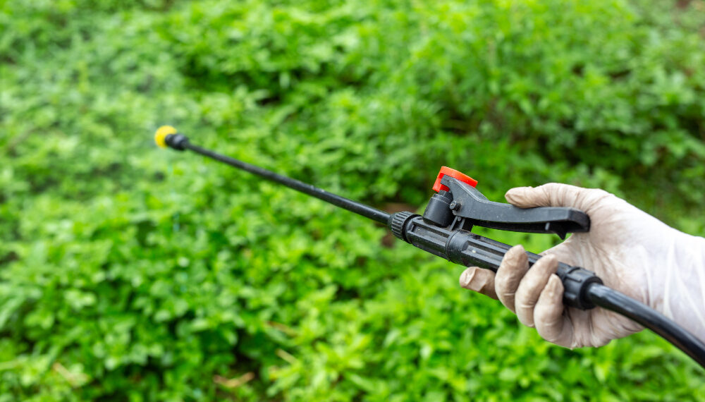 Pest-Free