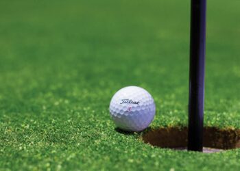What Makes a Great Golfer