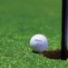 What Makes a Great Golfer