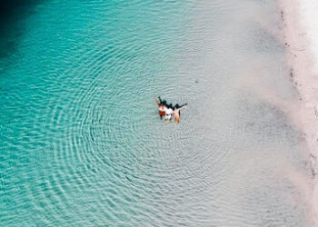 Fraser Island