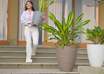 Large Outdoor Pots and Planters