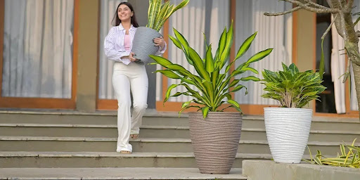 Large Outdoor Pots and Planters