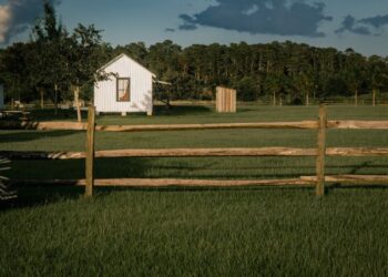 Wood Fencing