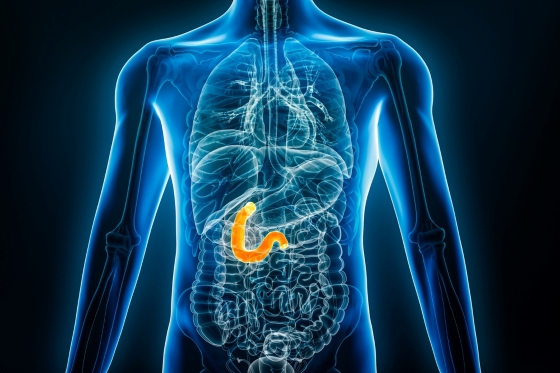 Why Duodenoscope Design Problems Can Increase Infection Risks