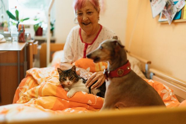 Cat And Dog Hospital